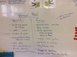 Vernal Pool beautiful and funny