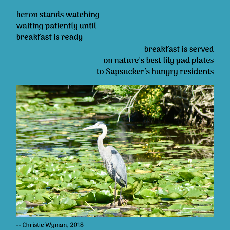 heron poetry