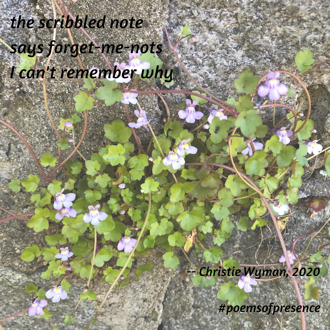 the scribbled note